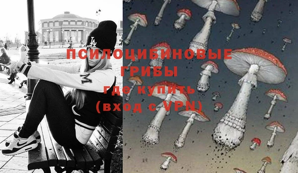 не бодяженный Армянск