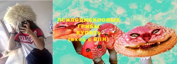 не бодяженный Армянск