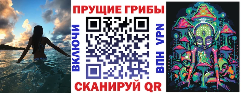 KRAKEN онион  Солнечногорск  darknet формула  сколько стоит  Псилоцибиновые грибы ЛСД 